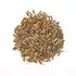 fenchel_ganz_WEBSITE.jpg