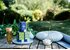 The picture shows three Happiness Is tea packs outside. Next to them is a bottle filled with tea. There is also a pillow and a yoga mat next to it.
