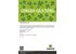 congratulations-print-at-home-gutschein-english.jpg